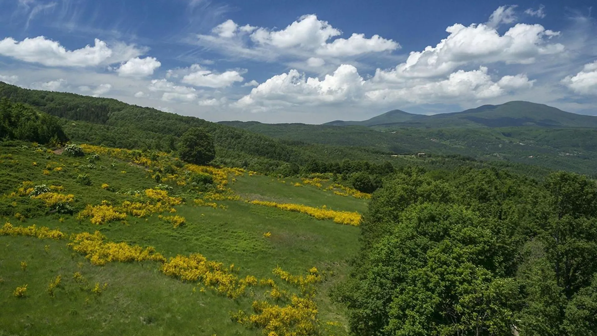 Spacious Holiday Home In Piancastagnaio With Fenced Garden