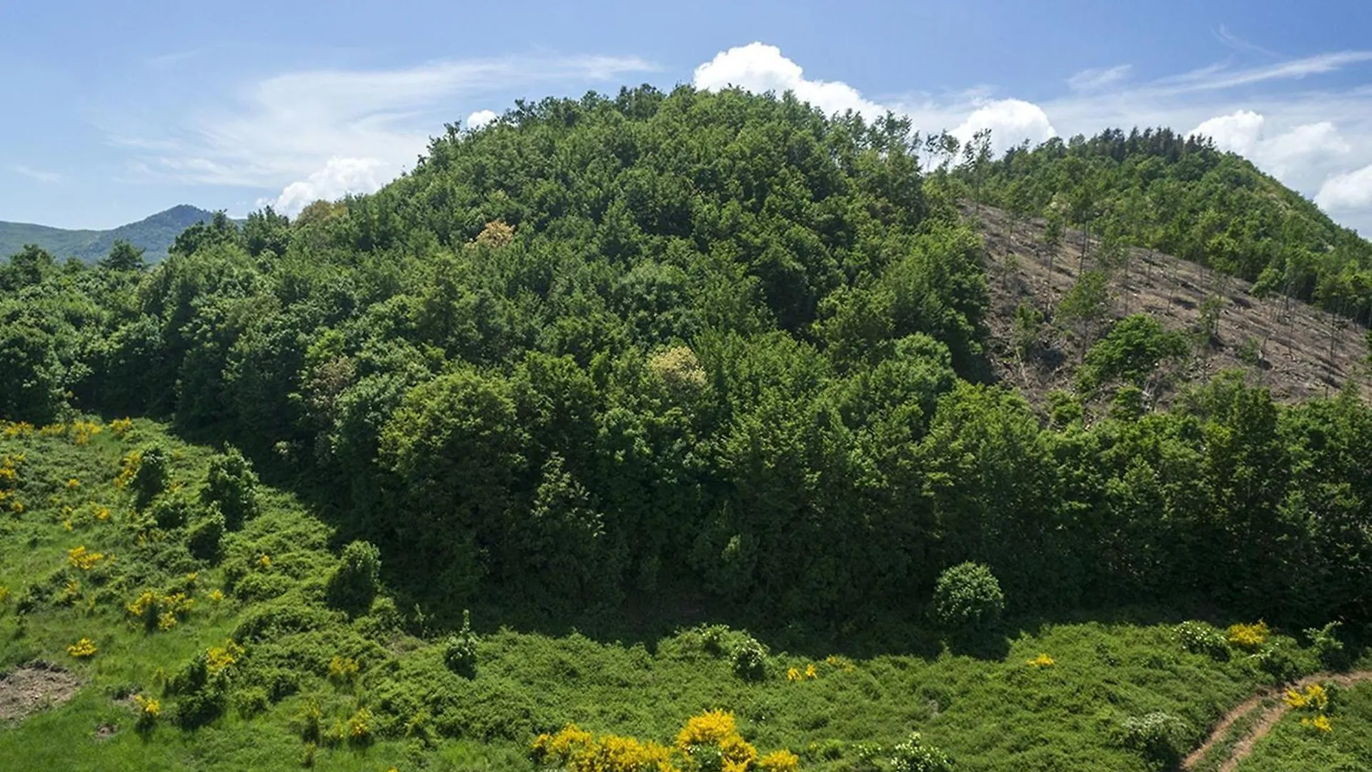 Spacious Holiday Home In Piancastagnaio With Fenced Garden Италия
